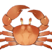 Sun Crab (Furnishing)