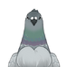 Graywing Pigeon (Furnishing)