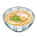 Udon Noodles