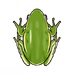 Frog (Furnishing)