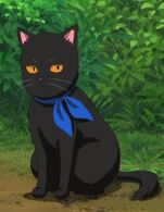 Katsura in cat form in Episode 190