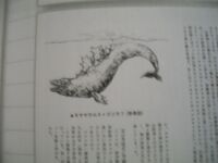 GojiraWhale