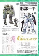 G-RECO 12