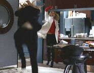 Niki throws Candice across a room with one punch. (How to Stop an Exploding Man)