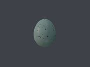 Bird's Egg