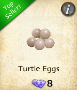 Turtle Eggs