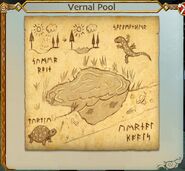 SOD-RiseOfStormheart-VernalPool3