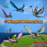 ROB-Winged Wednesday Ad