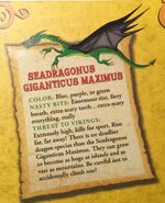 On the back of the US cover for How To Fight a Dragon’s Fury