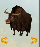 SOD-Yak