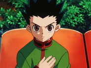 Gon 9 EP63