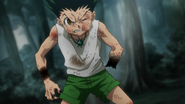 Gon sacrifices himself to defeat Genthru