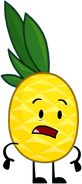 Pineapple’s current design