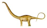 Mamenchisaurus 2