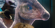 Parasaur head.