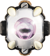 Gamma Eyecon (Alexander)