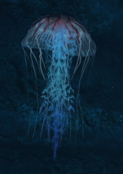 Jellyfish TRU