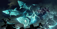 Shark Chariot "Legends of Runeterra" Illustration (by Riot Contracted Artists Sixmorevodka Studio)