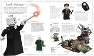 Lego-harry-potter-book-2