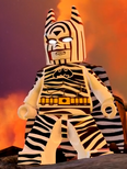 Zebra2