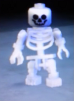 TCS Skeleton