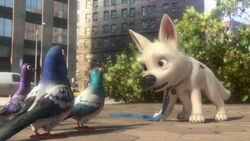 Bolt-disneyscreencaps