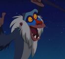 Rafiki