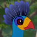 Turacos-profile