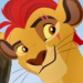 Kion-profile