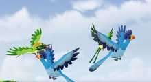 Bee-eaters and turacos fly by Simba