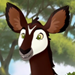 Okapis-profile