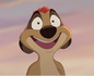 Timon