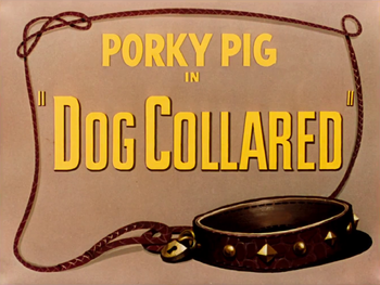 Dog Collared