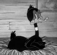 Mrs. Daffy Duck (Wise Quacks)