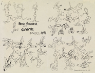 Model sheet