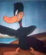 Not Daffy