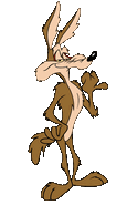 Wile E. Coyote in New Looney Tunes (2015 to 2020)