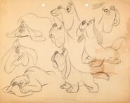 Wellington's model sheet