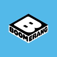 Boomerang App (2017 - 2024) (1995 USA Turner print)