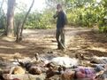 Ajira massacre