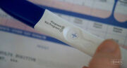 RachelPregnancyTest