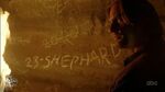 23-SHEPHARD