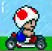 SMK Screenshot Toad