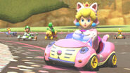 Cat Peach