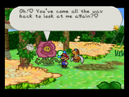 Paper Mario screenshot of Rosie talking to Mario