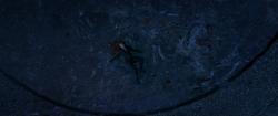 Black Widow's Death