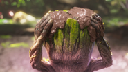 Muddy Groot