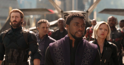 Avengers in Wakanda