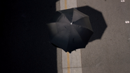 Cloaking Umbrella1