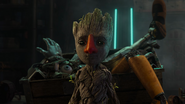 Groot Nose